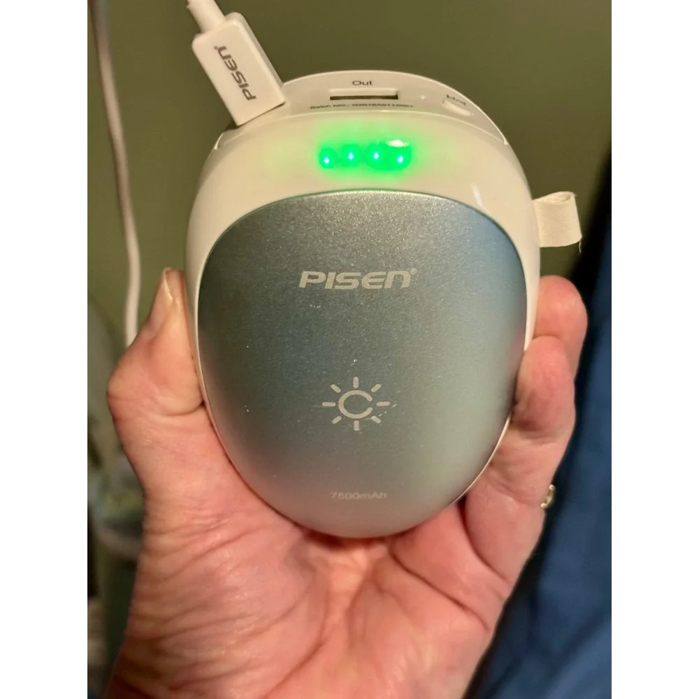 Pisen rechargeable hand